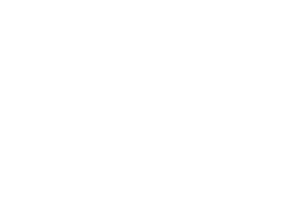 Faye Studio